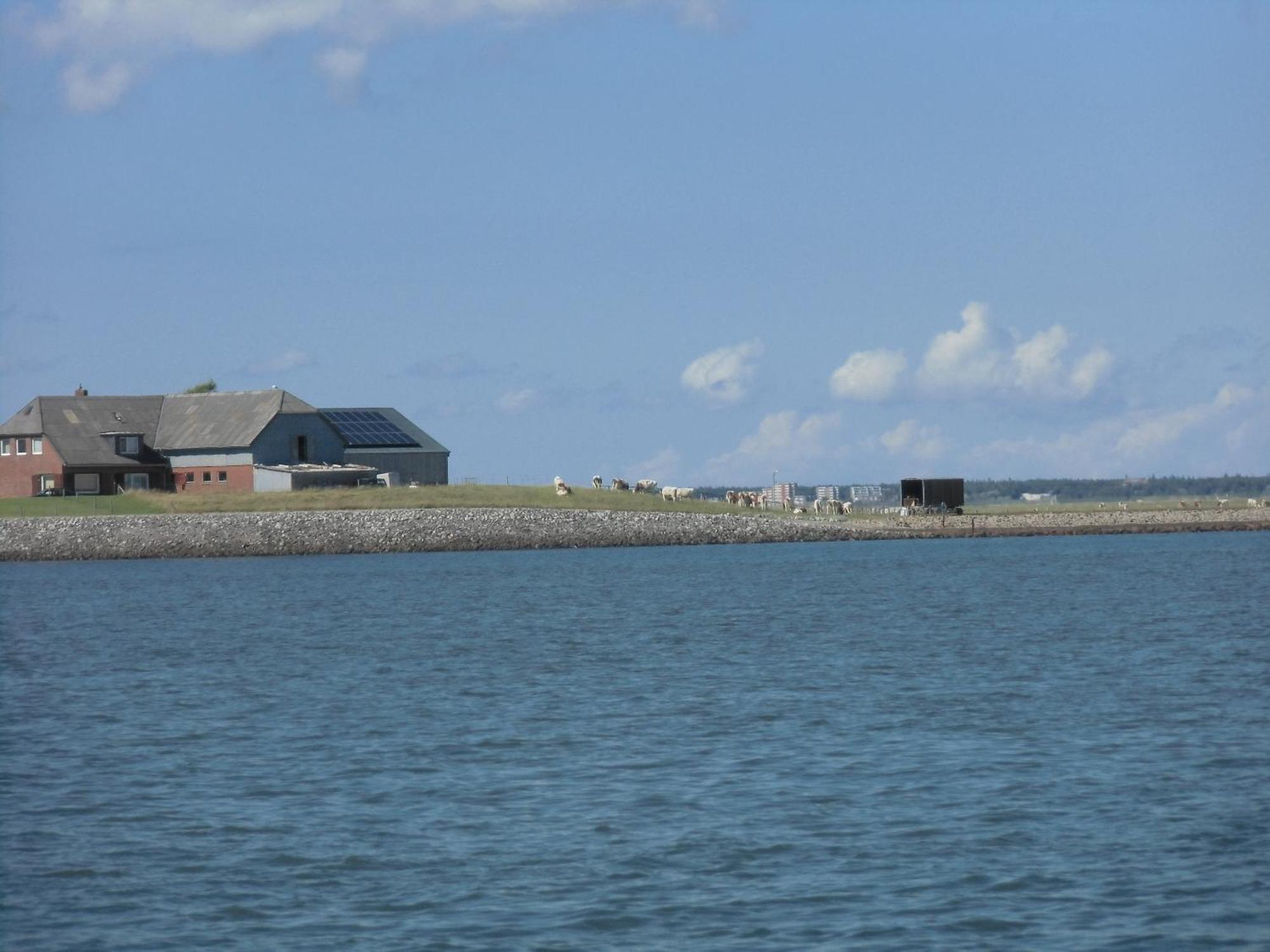 Friesenhaus Am Meer ดาเกอบึล ภายนอก รูปภาพ